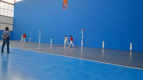 pelota vil