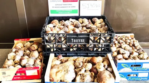 Decomiso+Covaleda