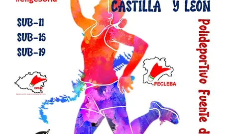 Prensa Bádminton Soria
