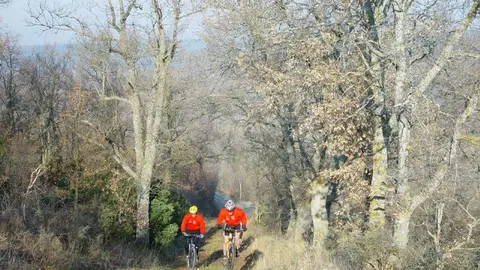 Circuito Provincial BTT de Burgos