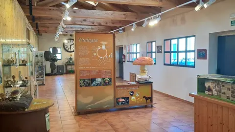 Centro Micológico de Navaleno