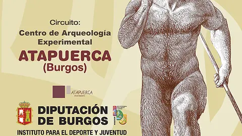 cartel-web