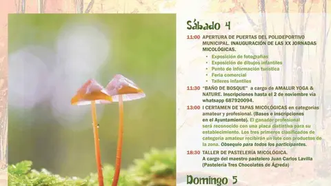 Programa de actos de las Jornadas Micológicas de San Leonardo 2023