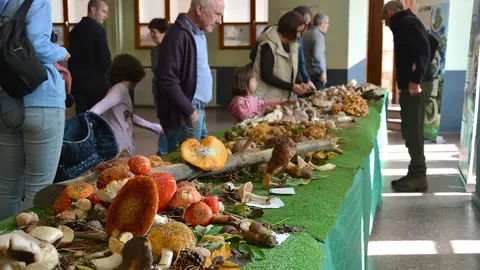 DSC_4188 (3)