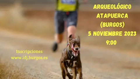 Instituto Provincial para el de Deporte y Juventud de Diputación de Burgos