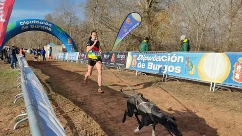 57d3bba7-1861-41e8-9e4a-32499a7c76ba