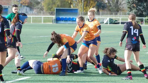 Pingüinas Rugby Burgos