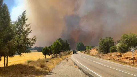 incendio arlanza