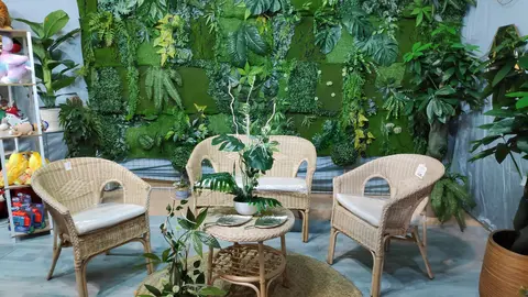 Jardín vertical de la Bolsa Amarilla