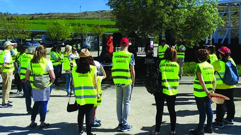 plantación sabinares