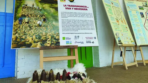 exposición trashumancia