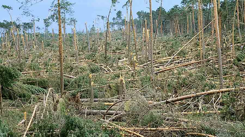 tornado-f3-pinares-soria-1-junio-99-2
