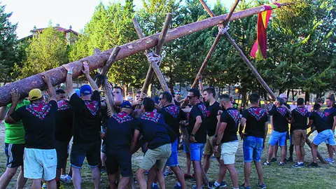 Pingada del Mayo en Abejar (Foto: Asociación el Navazo)