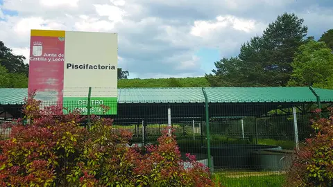 piscifactoría