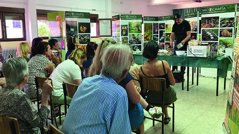 mycological summer tour