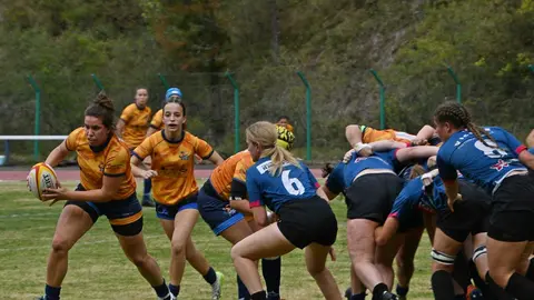 Pingüinas Rugby Burgos