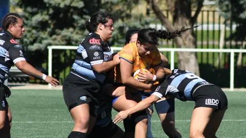 Pingüinas Rugby Burgos