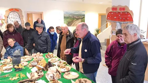 jornadas micológicas salas de los infantes