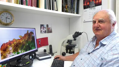 PEDRO ARRILLAGA