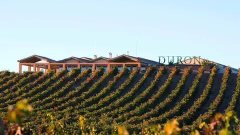  Bodegas Durón: Una de las mejores bodegas a visitar en Ribera del Duero 