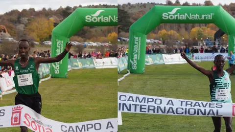 Campo a través internacional de Soria