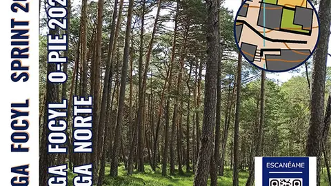 Diputación de Burgos