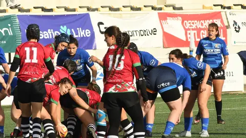 Pingüinas Rugby Burgos