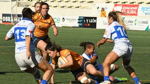 Pingüinas Rugby Burgos