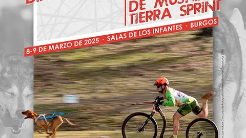 cartel-mushing-2025