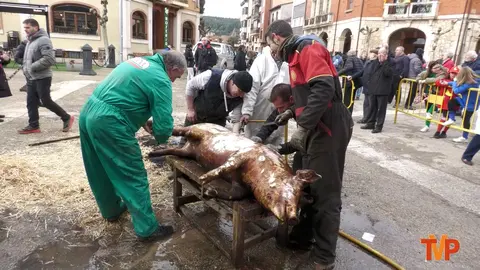 huerta de rey matanza