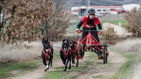 Deporte Salas