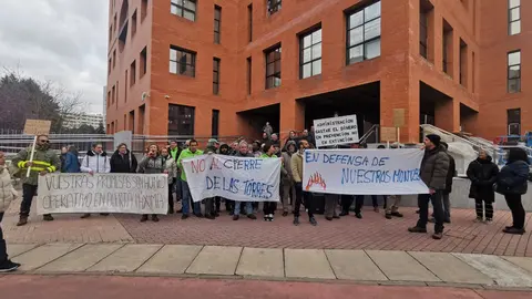 manifestacion torretas burgos