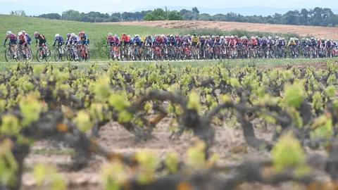 Los viñedos volverán a formar parte del paisaje en la Vuelta a Burgos Féminas