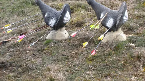 Federación de Castilla y León de Tiro con Arco