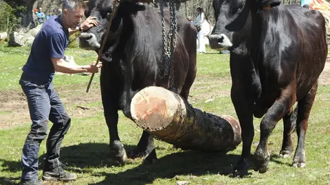 CARRETEROS EN REVENGA (72)