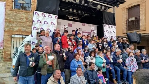 Diputación de Soria