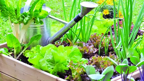 Fertilizantes Burgos