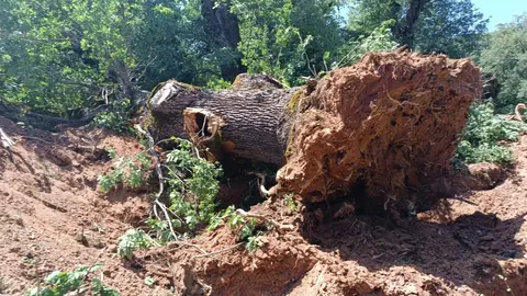 39a13af2-7e62-4c62-adcb-db7fc480b2aa