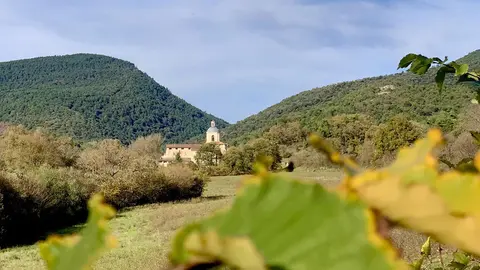Diputación de Burgos