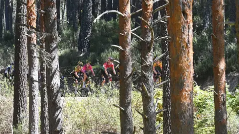 Diputación de Burgos