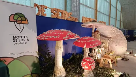 montes de soria
