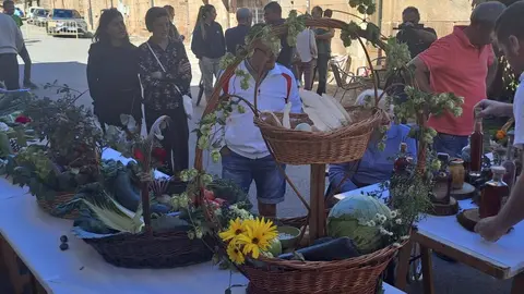 huertos palacios