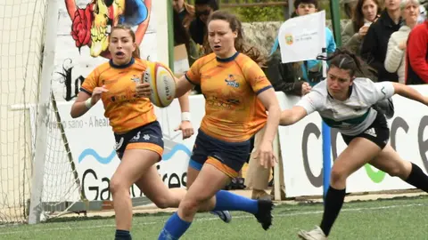 Pingüinas Rugby Burgos