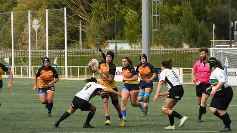 Pingüinas Rugby Burgos