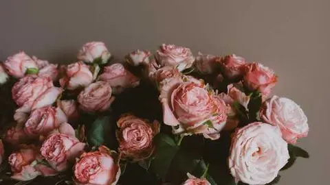  Qué simbolizan las flores funerarias y cómo elegir un arreglo adecuado 