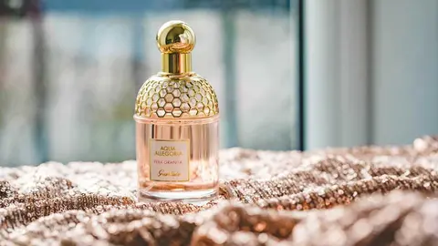  La fragancia que te acompaña también dice algo de ti 
