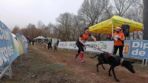 Diputaci&oacute;n de Burgos