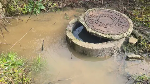 c9f02758-4d3d-4ea1-a485-912c46b7f124