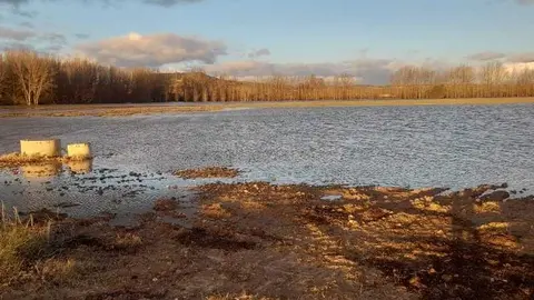 m PHOTO-2026-02-17-08-30-55