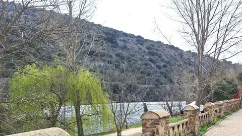 WhatsApp-Image-2026-03-20-at-12-27-12_260320122852